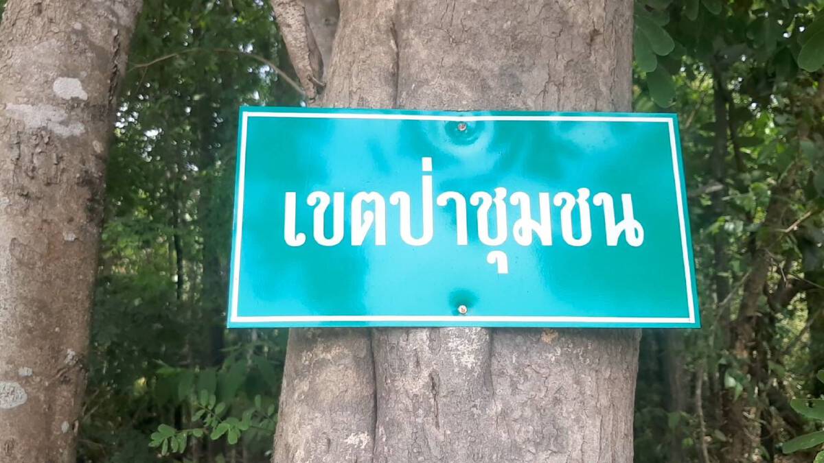 ชาวเสิงสางปลูกผักสร้างแหล่งอาหารสู้โควิด