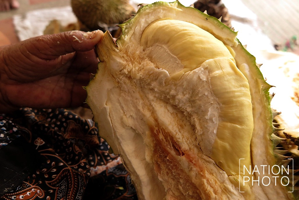 "ทุเรียนกวน" ทางออกผลไม้ปักษ์ใต้ล้นตลาด ชาวสวนต้องช่วยตัวเอง