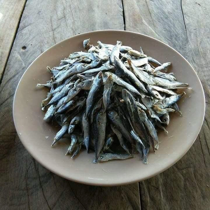 ชาวประมง ช่วยจับปลาหาวัตถุดิบส่งรพ.สนาม