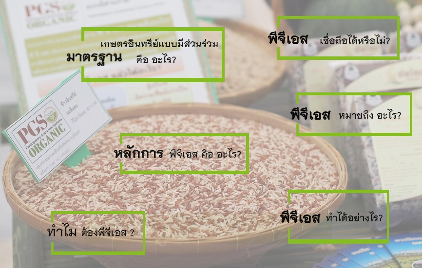 รัฐดัน “เกษตรอินทรีย์ พีจีเอส.” เล็งเป้าตลาด 3 ล้านล้านบาท