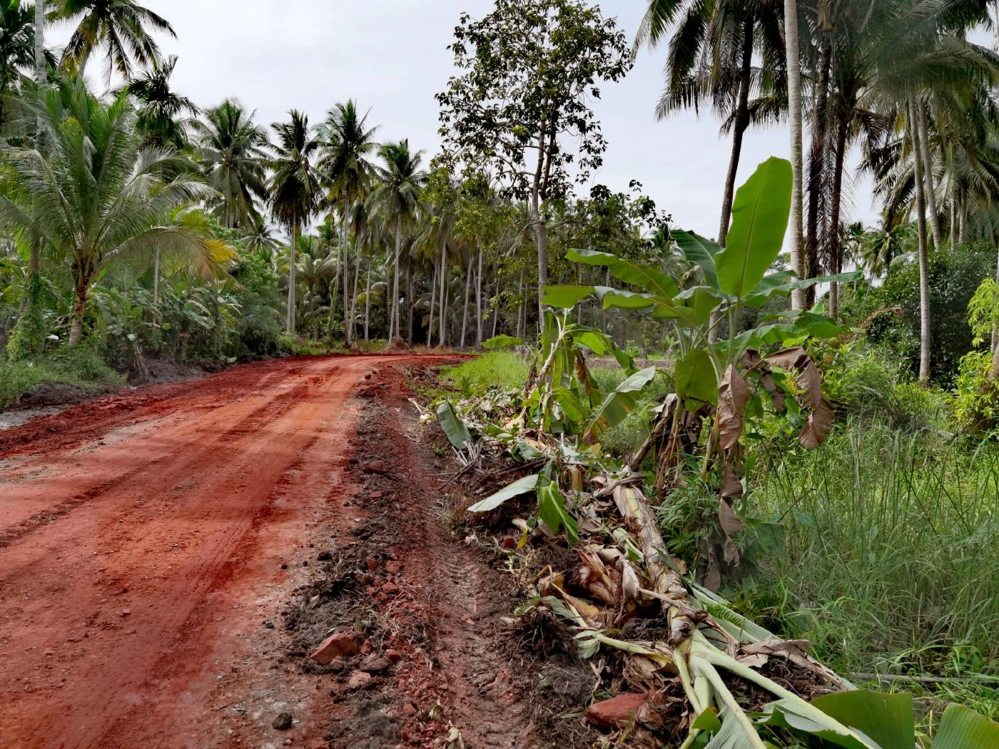 "ต่อหัวเสือ" แตกรังรุมต่อยเด็ก 3 ขวบสาหัส