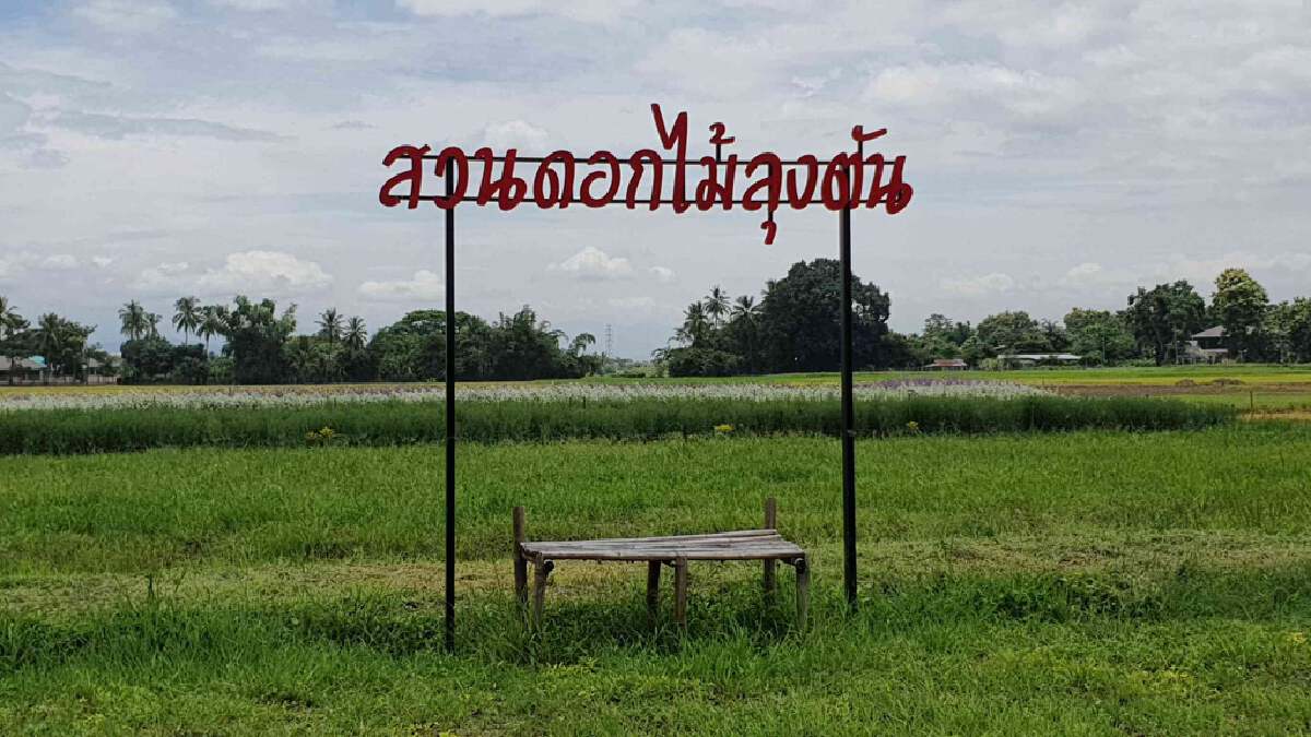 วิศวกรหนุ่มเพาะกล้าดอกไม้ขายออนไลน์