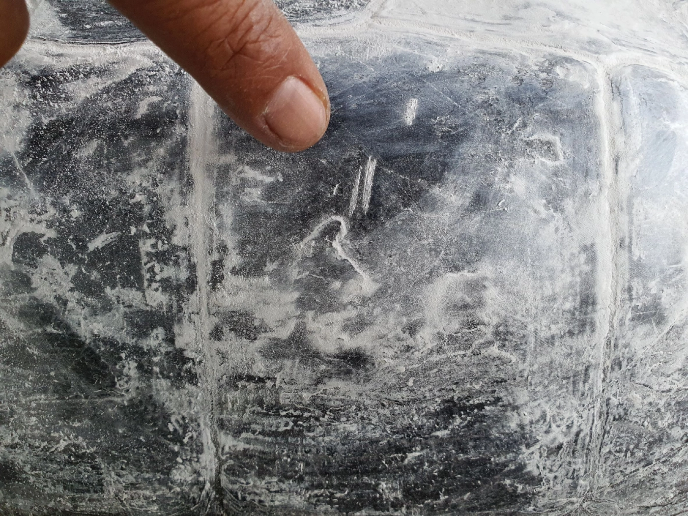 โค้งสุดท้ายก่อนวันหวยออก ชาวบ้านแห่ส่องเลขเด็ดเต่ายักษ์