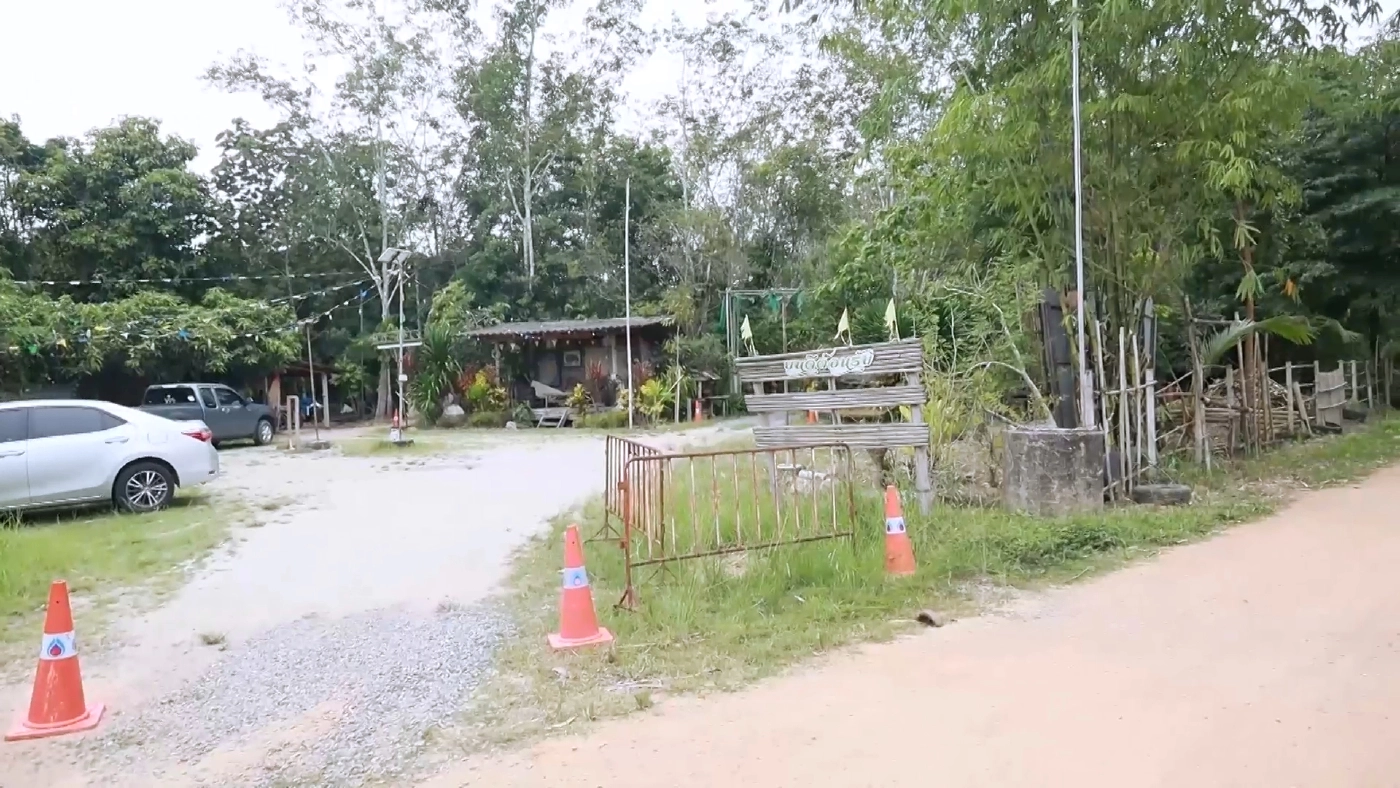 เพาะพันธุ์ต้นกล้าฟ้าทะลายโจร ยอดจองกว่า 50,000 ต้น