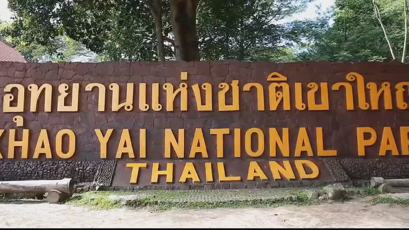 อุทยานเขาใหญ่ สั่งปิดน้ำตกเหวนรก-จุดชมวิวผาเดียวดาย  2 เดือน