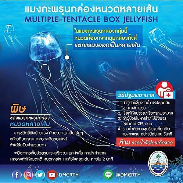 สลด!นนท.วัย 9 ขวบ ถูกพิษแมงกะพรุนกล่องดับ "วราวุธ" สั่งเร่งป้องกัน