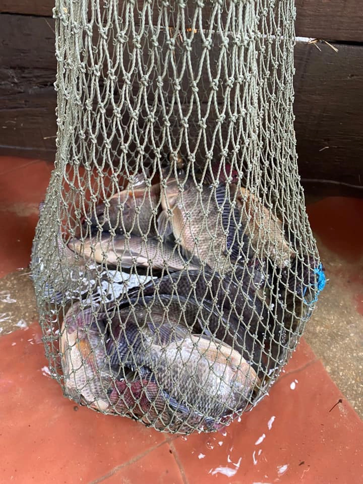 น้ำท่วมนิคมอุตสาหกรรมบางปูยังน่าห่วง ไร้เงา "นันทิดา"