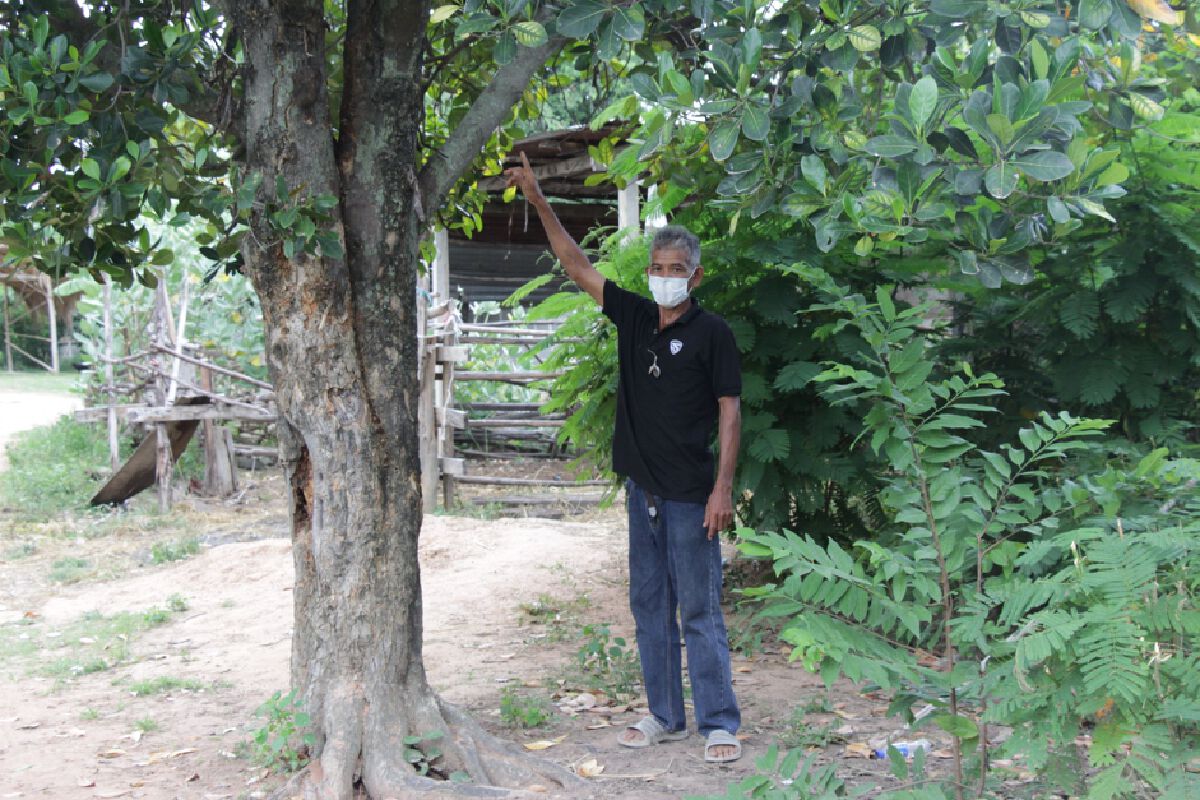 พ่อตาบอดวัย70ผูกคอดับ เครียดลูกสาวหนีหนี้ แก๊งเงินกู้ยังบุกทวงถึงงานศพ