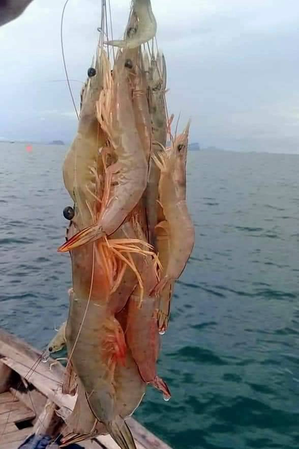 พาณิชย์ส่งอาหารทะเลบุก สปป.ลาว เพิ่มยอดส่งออก