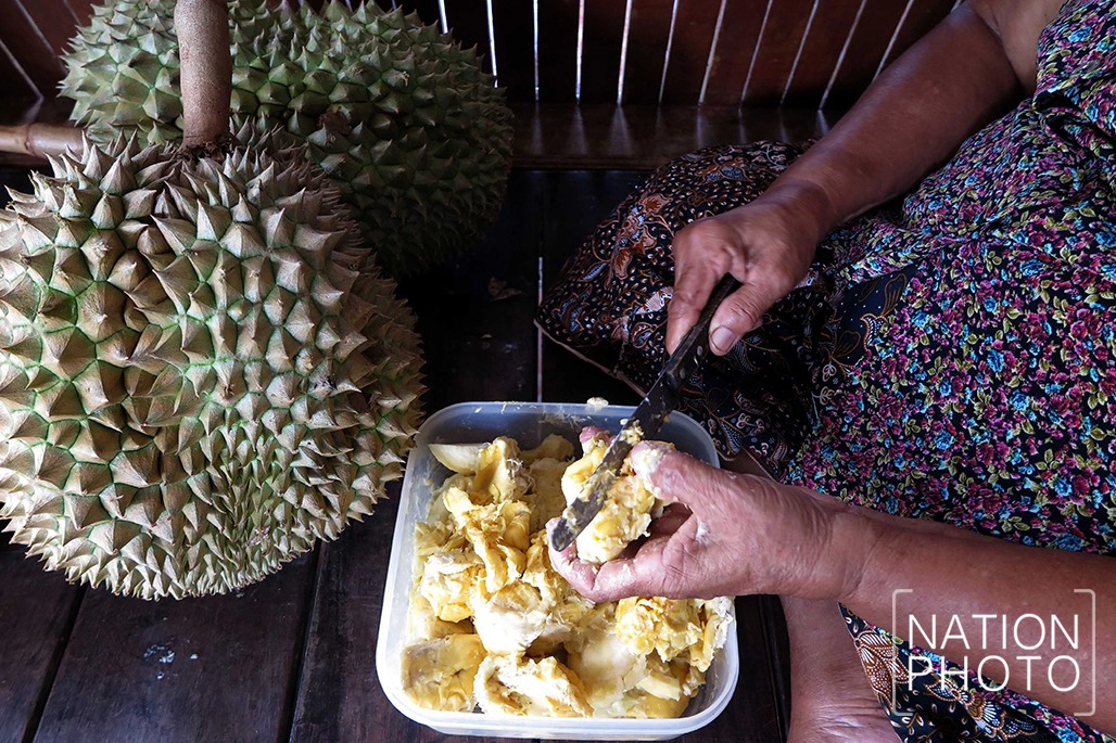 "ทุเรียนกวน" ทางออกผลไม้ปักษ์ใต้ล้นตลาด ชาวสวนต้องช่วยตัวเอง