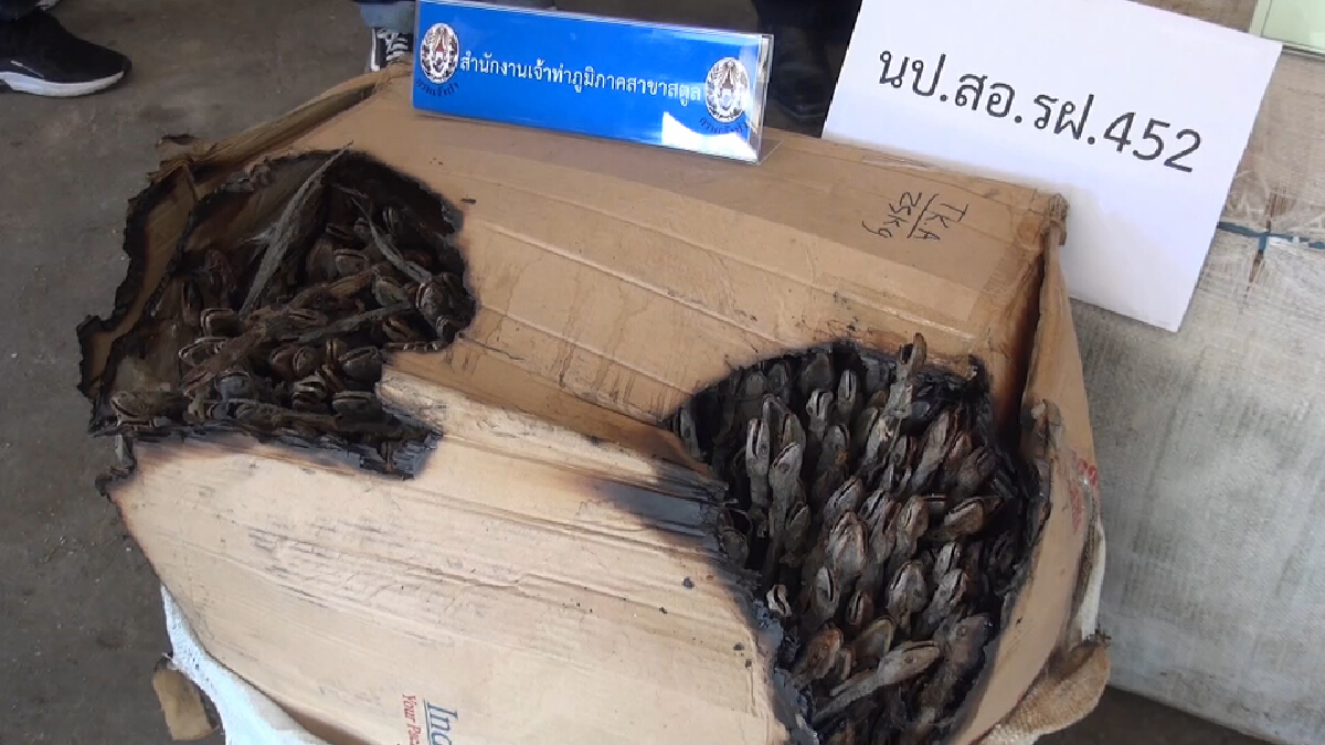ตรวจยึดเรืออินโดนีเซีย นำเข้าตุ๊กแกตากแห้ง กว่า 2 พันกิโลกรัม