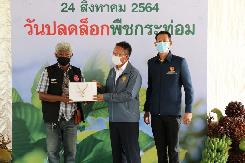 “สัณหพจน์” พกใบกระท่อมบุกรัฐสภา ลั่นเดินหน้าพัฒนาเป็นสมุนไพรโลก