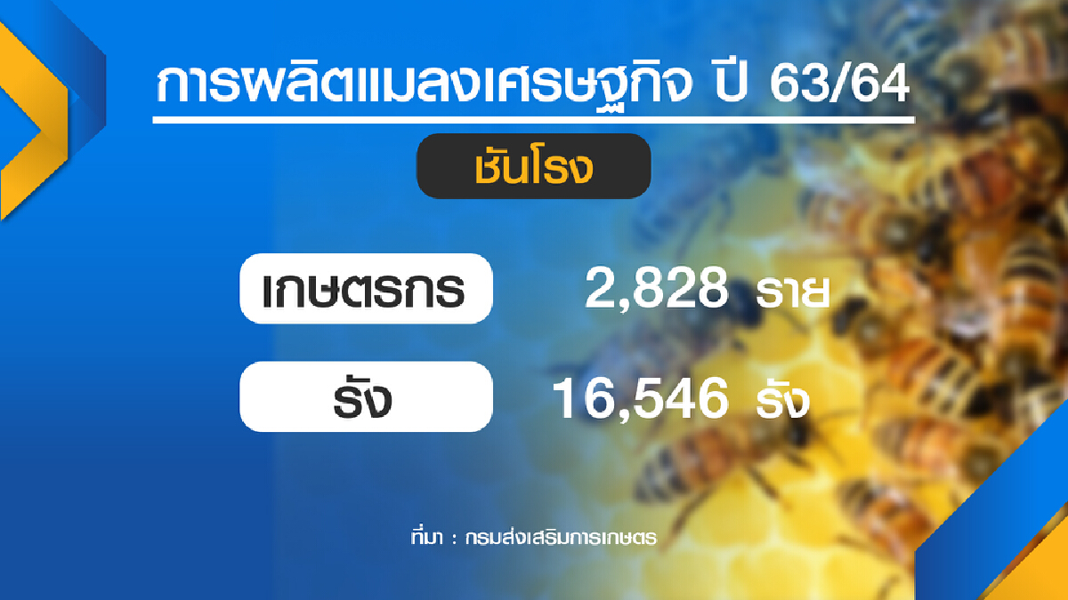 เกษตรฯอัดงบดัน แมลง สร้างรายได้ชุมชน