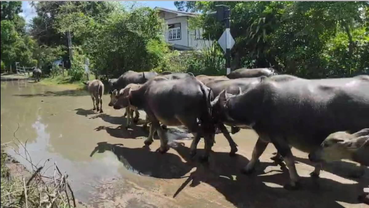 ชาวบ้านร้อง น้ำท่วมถนนกลางบ้านสัญจรลำบาก