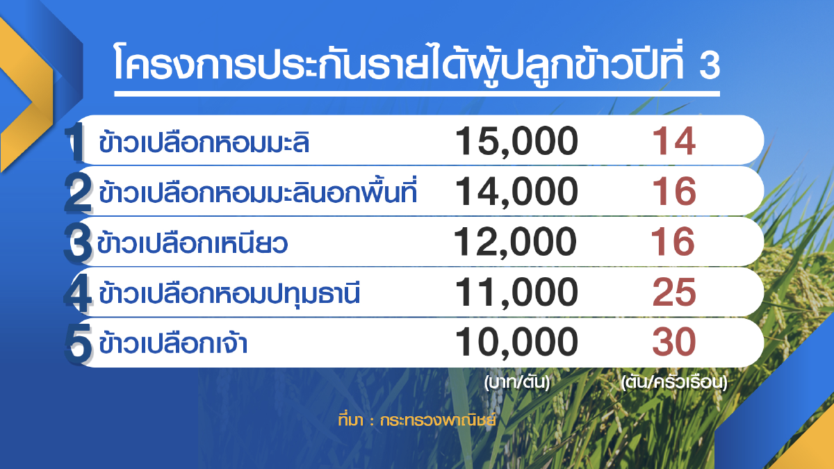 ลุ้นครม.เคาะประกันรายได้ข้าว-มันฯ บวกมาตรการคู่ขนานช่วยชาวนา