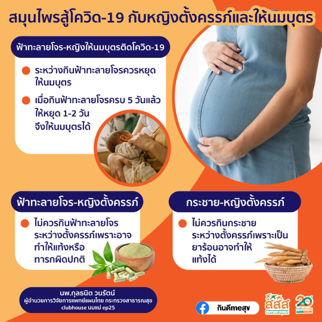 แพทย์เตือนการใช้ฟ้าทะลายโจร-กระชาย ในหญิงตั้งครรภ์-ให้นมบุตร