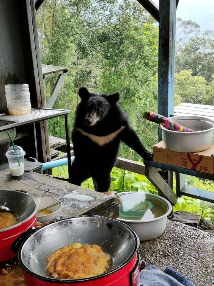 "เขาใหญ่ฟีเวอร์" วันหยุดนักท่องเที่ยวแห่เที่ยวทะลักแม้ยังมีโควิด