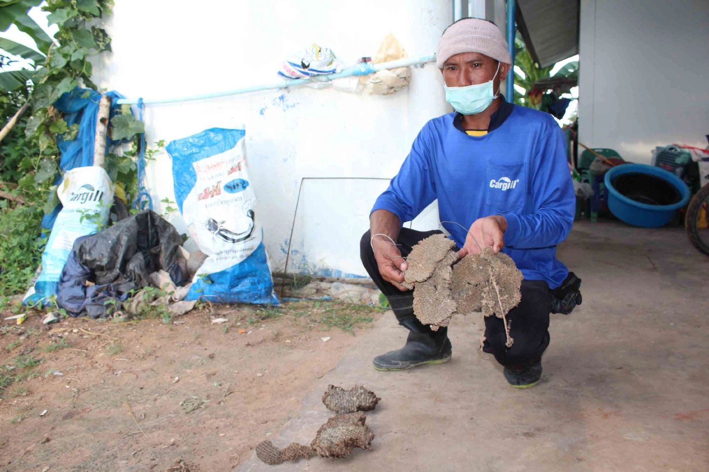 อาชีพแปลก หนุ่มเลี้ยงต่อหัวเสือขายตัวอ่อนเสริมรายได้ยุคโควิด