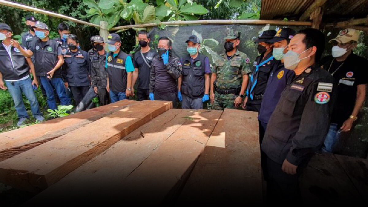 "พญาเสือ" ตรวจยึดไม้ประดู่ป่าแปรรูป มูลค่ากว่า 2 ล้านบาท