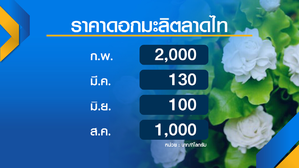 มะลิ โลละพัน! ฉุดยอดพวงมาลัยวันแม่ซบเซา