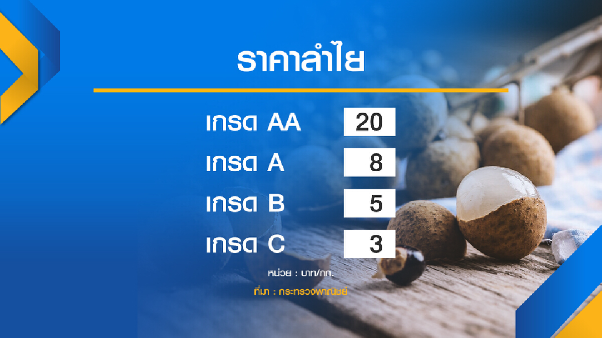 รัฐงัด 4 มาตรการแก้ราคาลำไยภาคเหนือตกต่ำ