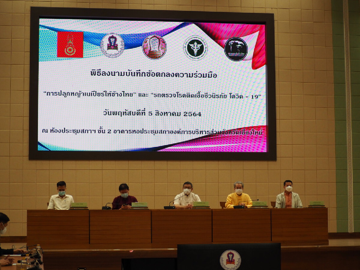 เชียงใหม่ซื้อรถตรวจเชื้อ-รถแลปเคลื่อนที่ตรวจโควิดเชิงรุก