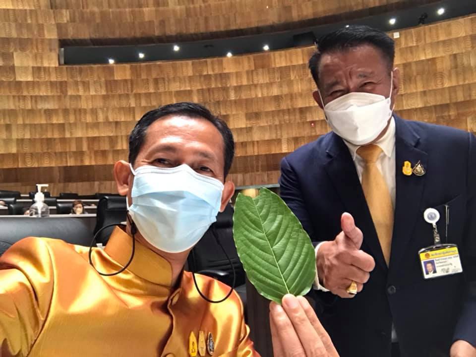 “สัณหพจน์” พกใบกระท่อมบุกรัฐสภา ลั่นเดินหน้าพัฒนาเป็นสมุนไพรโลก