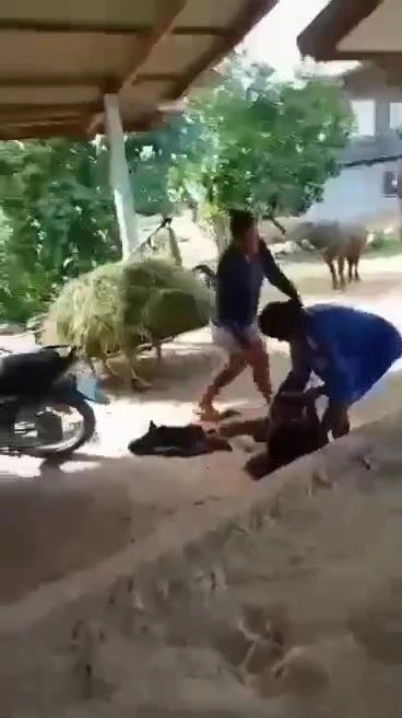 เพื่อนบ้านสุดทน โพสต์คลิปย่าตีหลานจนหูมีเลือดออก