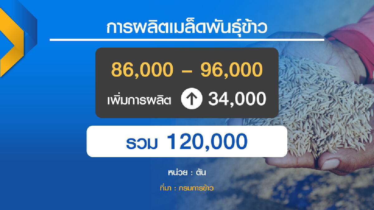 เกษตรฯลุยผลิต พันธุ์ข้าว 1.2 แสนตันช่วยชาวนา