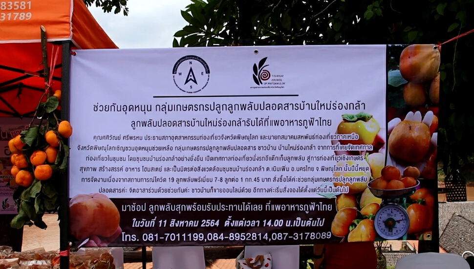 แห่อุดหนุน"ลูกพลับปลอดสาร"บ้านใหม่ร่องกล้า