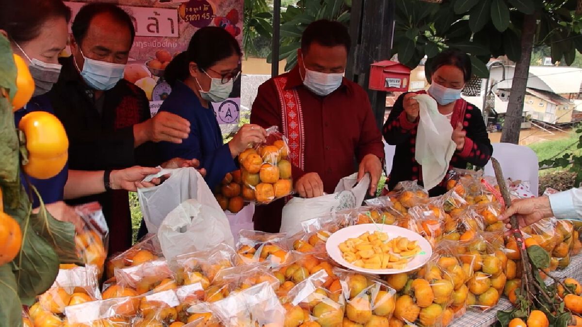 ผลผลิตทะลัก! พิษณุโลกเร่งระบาย ลูกพลับ