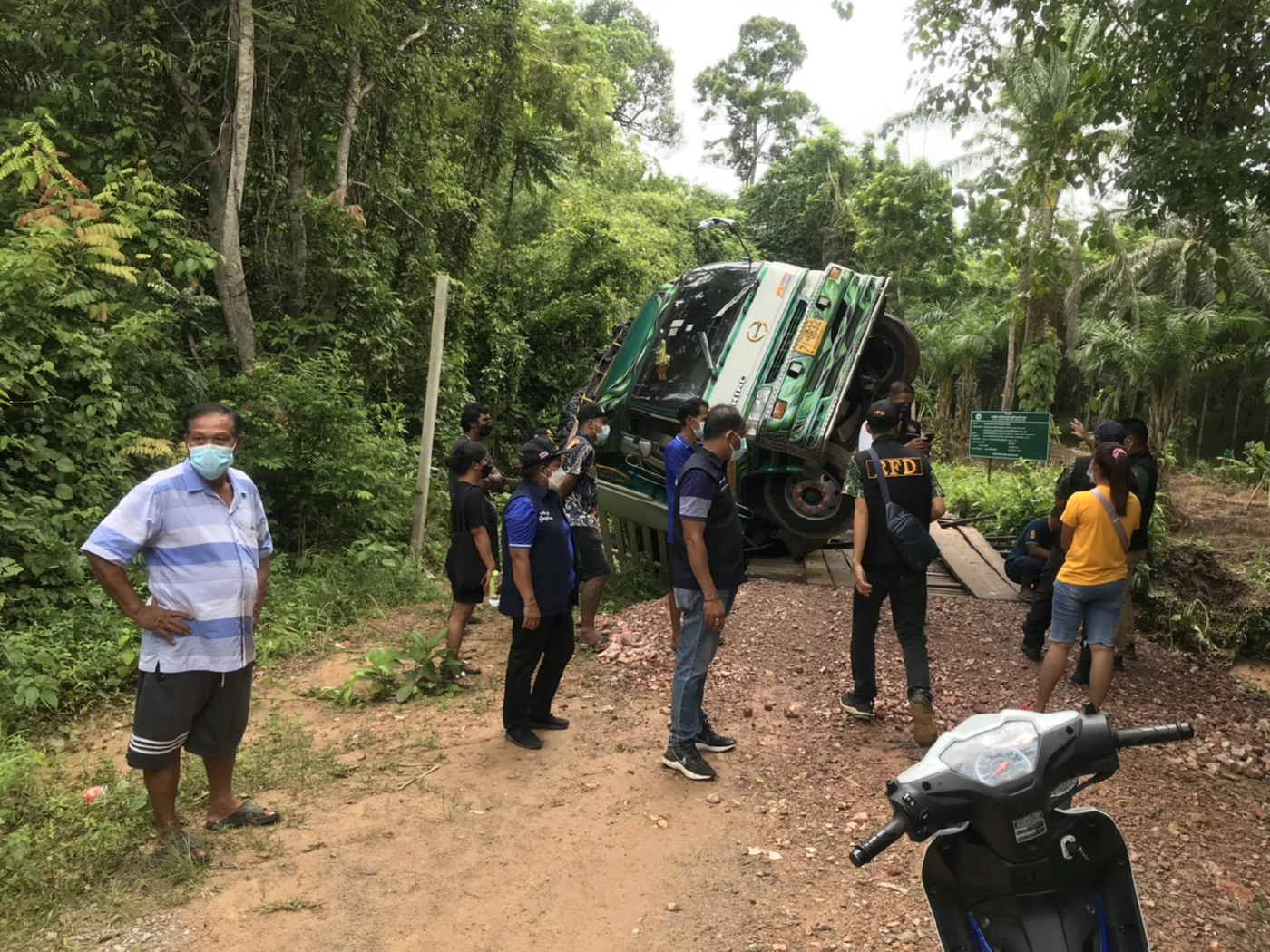 แก๊งมอดไม้ ลอบตัดต้นยางนา 200 ปี มูลค่ากว่า 1 ล.เชื่อเจ้าหน้าที่รัฐมี่เอี่ยว