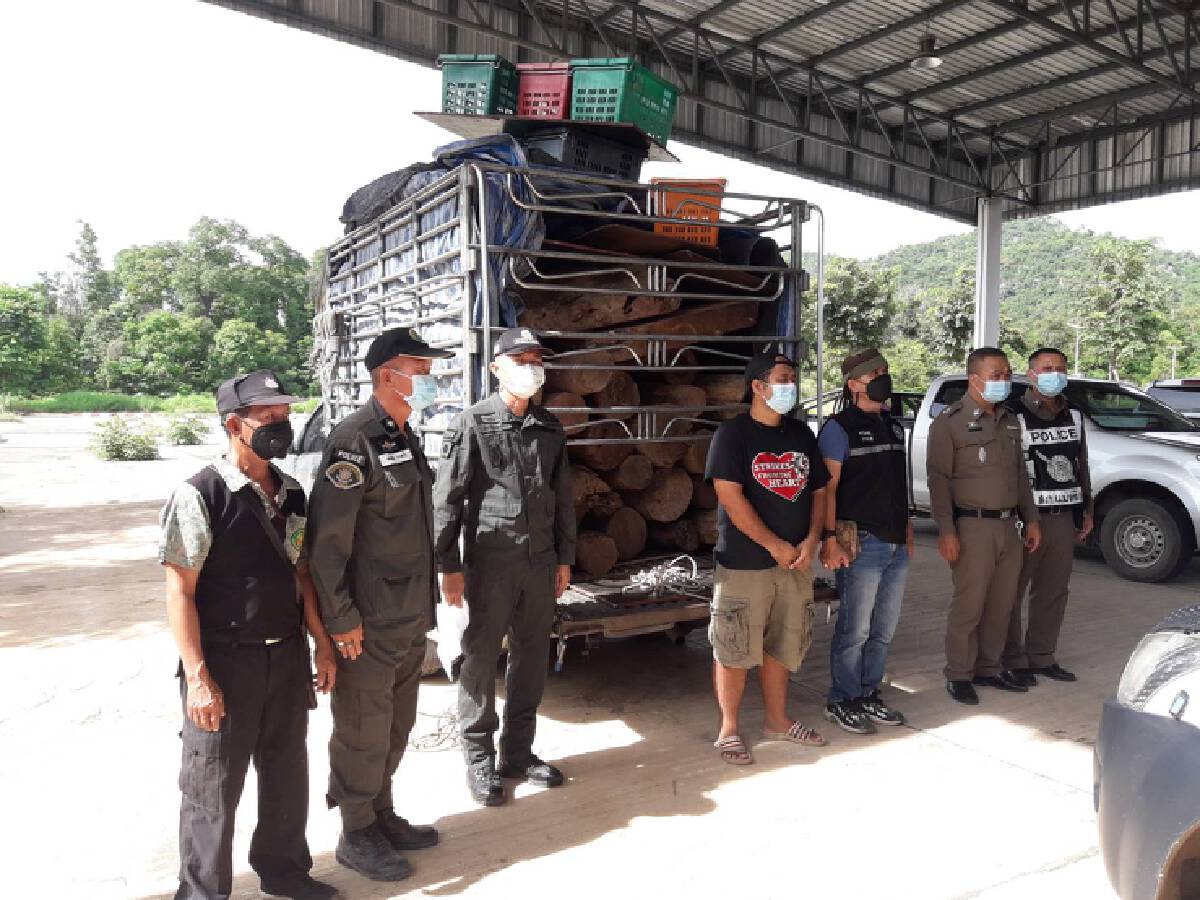 รวบ 2ผู้ต้องหาขนไม้เถื่อน-หวังส่งข้ามจังหวัด