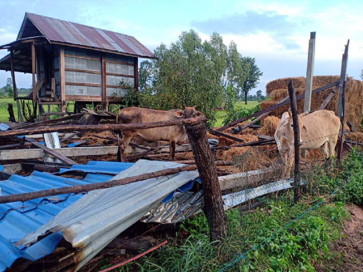 พายุฝนพัดถล่ม 4 หมู่บ้านกลางดึก บ้านเรือนนับร้อยพังราบ