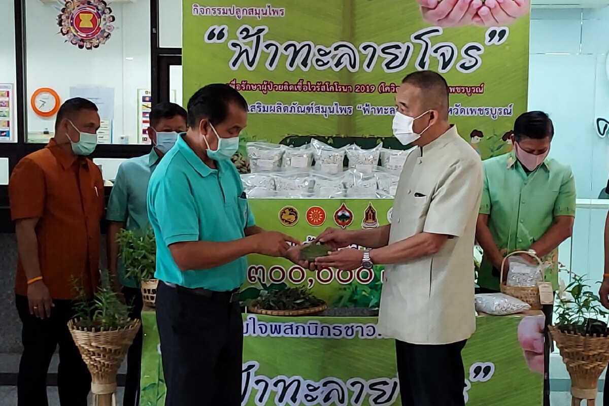 เพชรบูรณ์รับมอบฟ้าทะลายโจร 3 แสนเม็ดรักษาผู้ป่วยโควิดอาการไม่รุนแรง