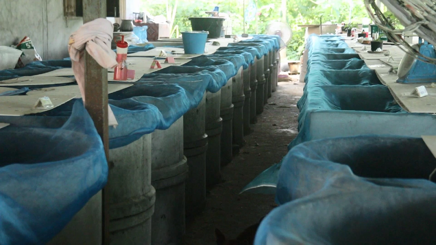 อาชีพใหม่เพาะเลี้ยง"ตัวอ้น"รายได้งาม