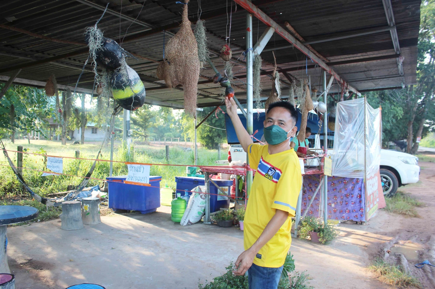เจ้าของร้านอาหารอีสานนำรังนก-ตัวต่อประดับร้านเชื่อต่อโชคลาภเรียกลูกค้า