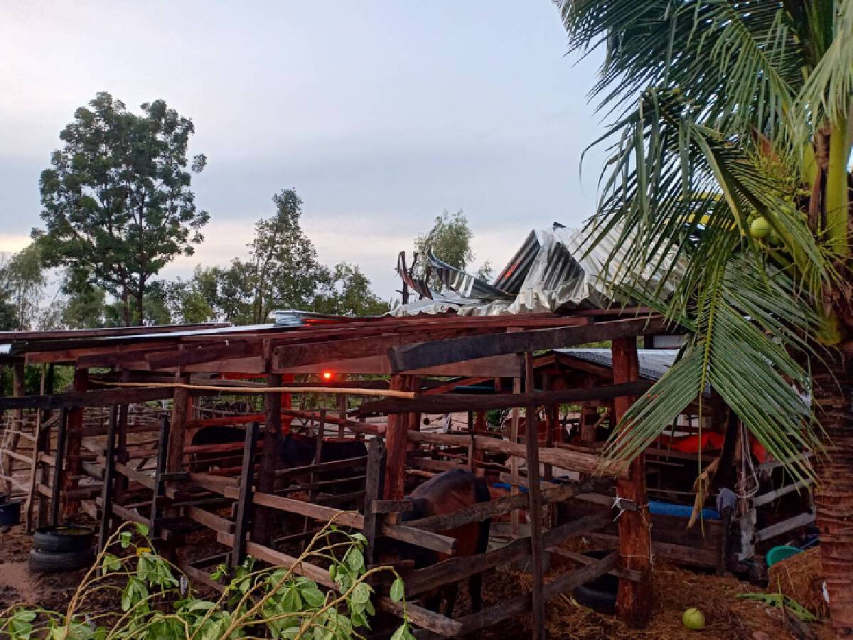 พายุฝนพัดถล่ม 4 หมู่บ้านกลางดึก บ้านเรือนนับร้อยพังราบ