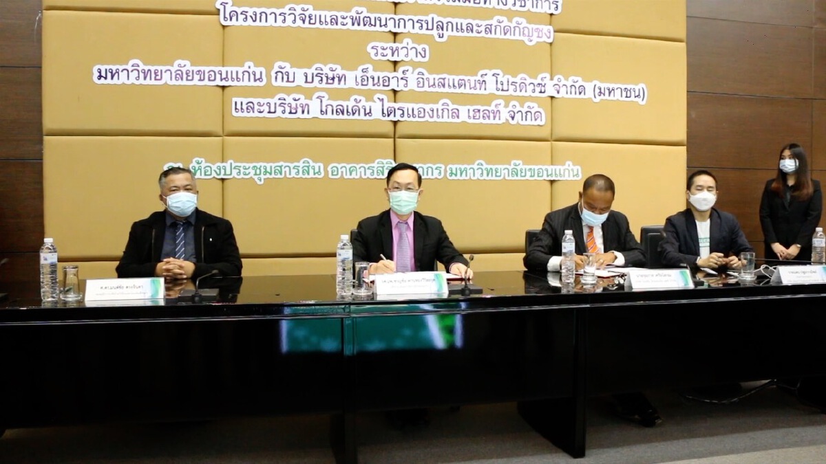 มข.จับมือ 2 บริษัทยักษ์ใหญ่ เดินหน้าผลิตและวิจัยสายพันธุ์กัญชง-กัญชา
