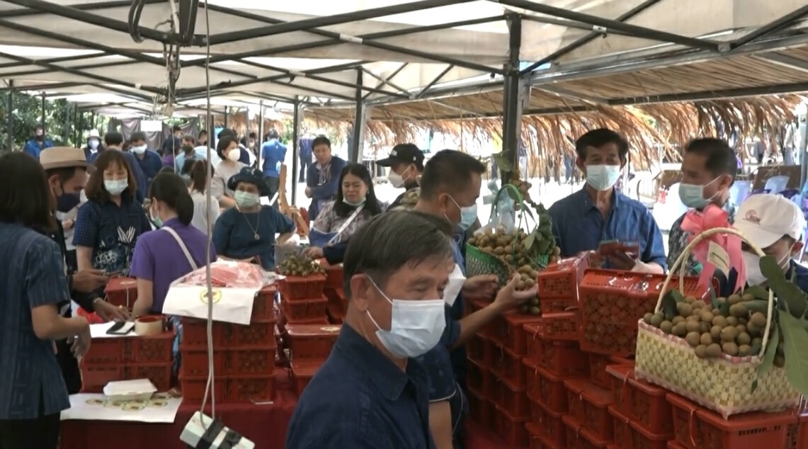 เปิดขายลำไยเชียงกลางช่วยเกษตรกร-แรงงานสู้โควิด