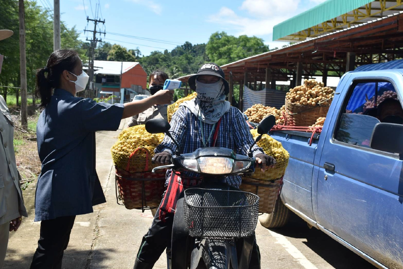 “ทำบุญ”เปิดตลาด“นานกกก”-รับซื้อลองกองลับแล