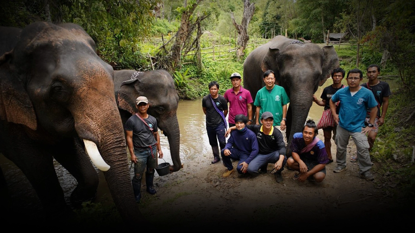 สุดเจ๋ง! สัตว์แพทย์ มช.อันดับ 6 โลก เชี่ยวชาญด้านช้าง