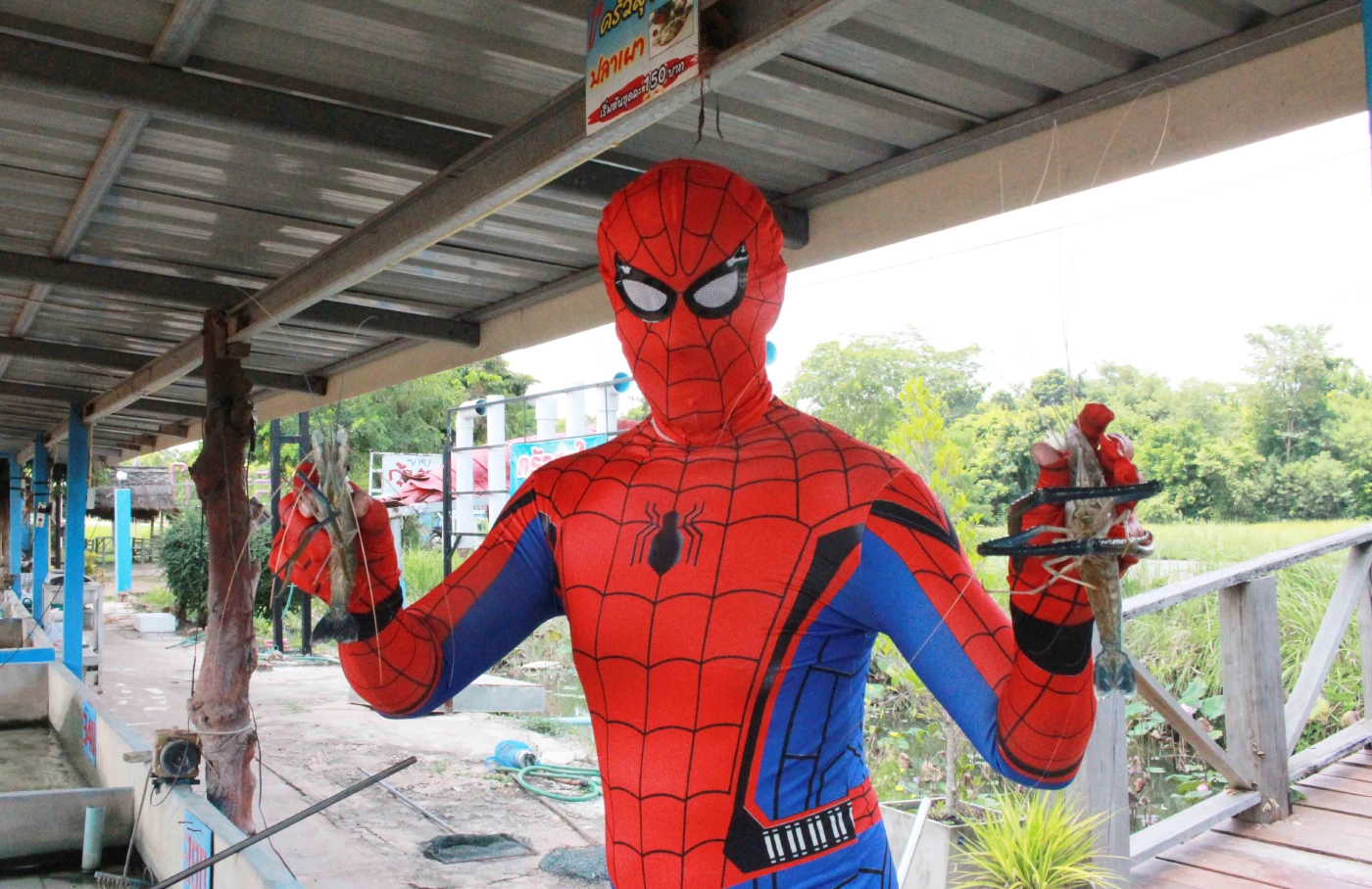 หนุ่มเจ้าของร้านแต่งชุดสไปเดอร์แมนขายกุ้ง-ปลานิลกระตุ้นยอดขายสู้โควิด