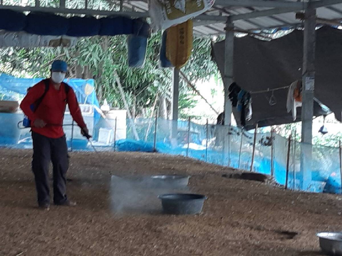หวั่นระบาดซ้ำซ้อน ! ปศุสัตว์ครบุรี โคราช เร่งรณรงค์ป้องกันไข้หวัดนก