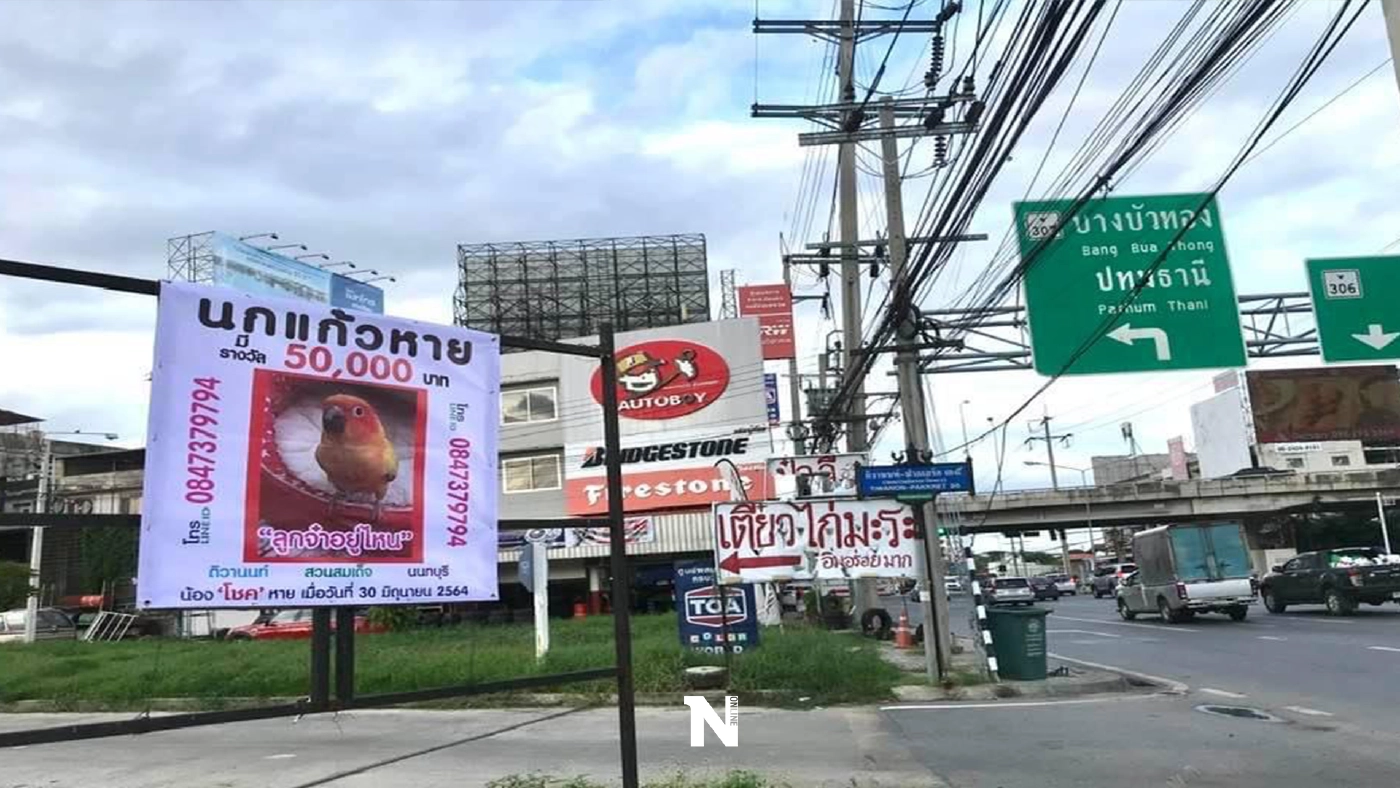 ลูกจ๋าอยู่ไหน ! นกแก้วสุดรักหาย เจ้าของตั้งรางวัลผู้แจ้งเบาะแส 50,000 บาท