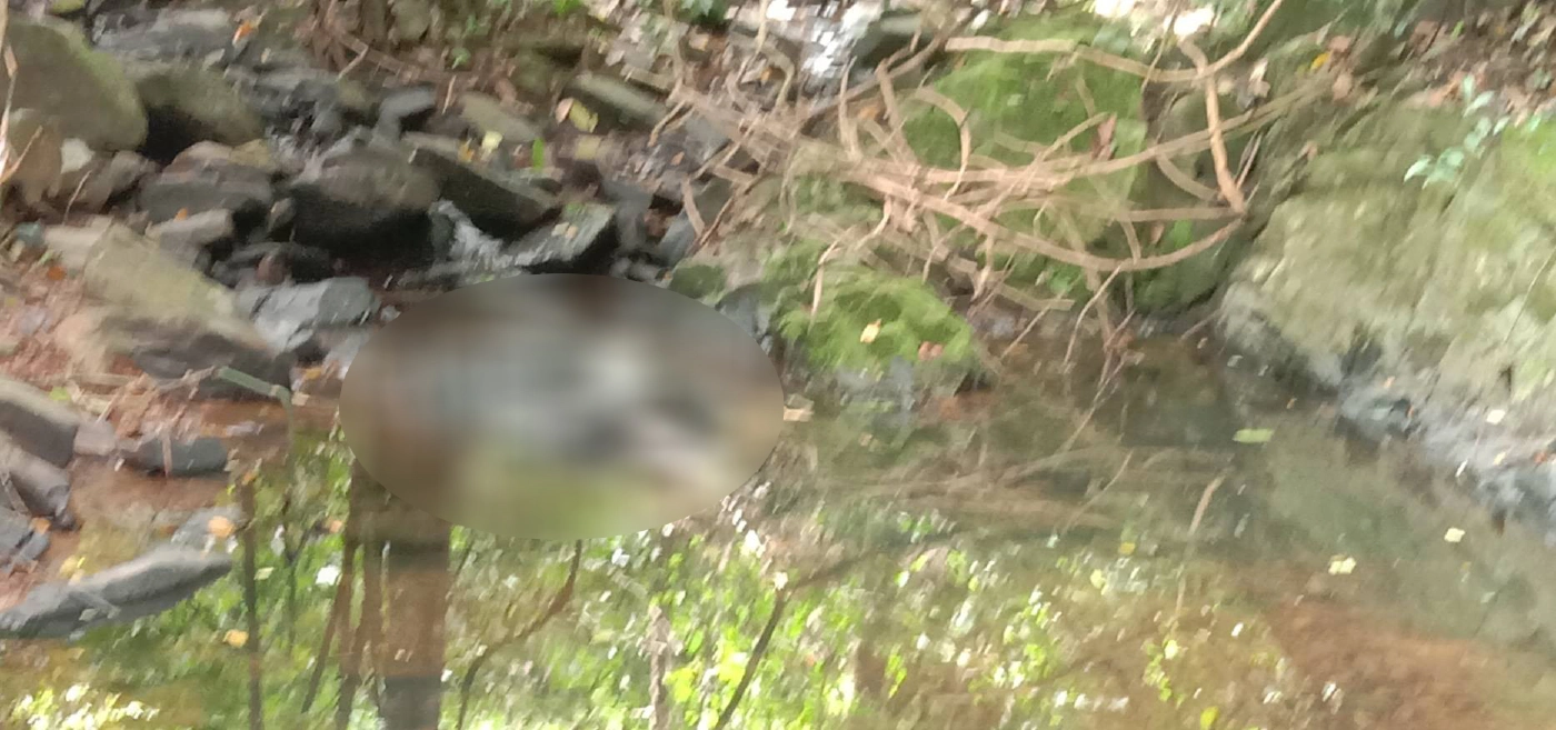 ผู้ว่าฯภูเก็ตแถลงเสียใจคดีฆ่าแหม่มสวิสฯ