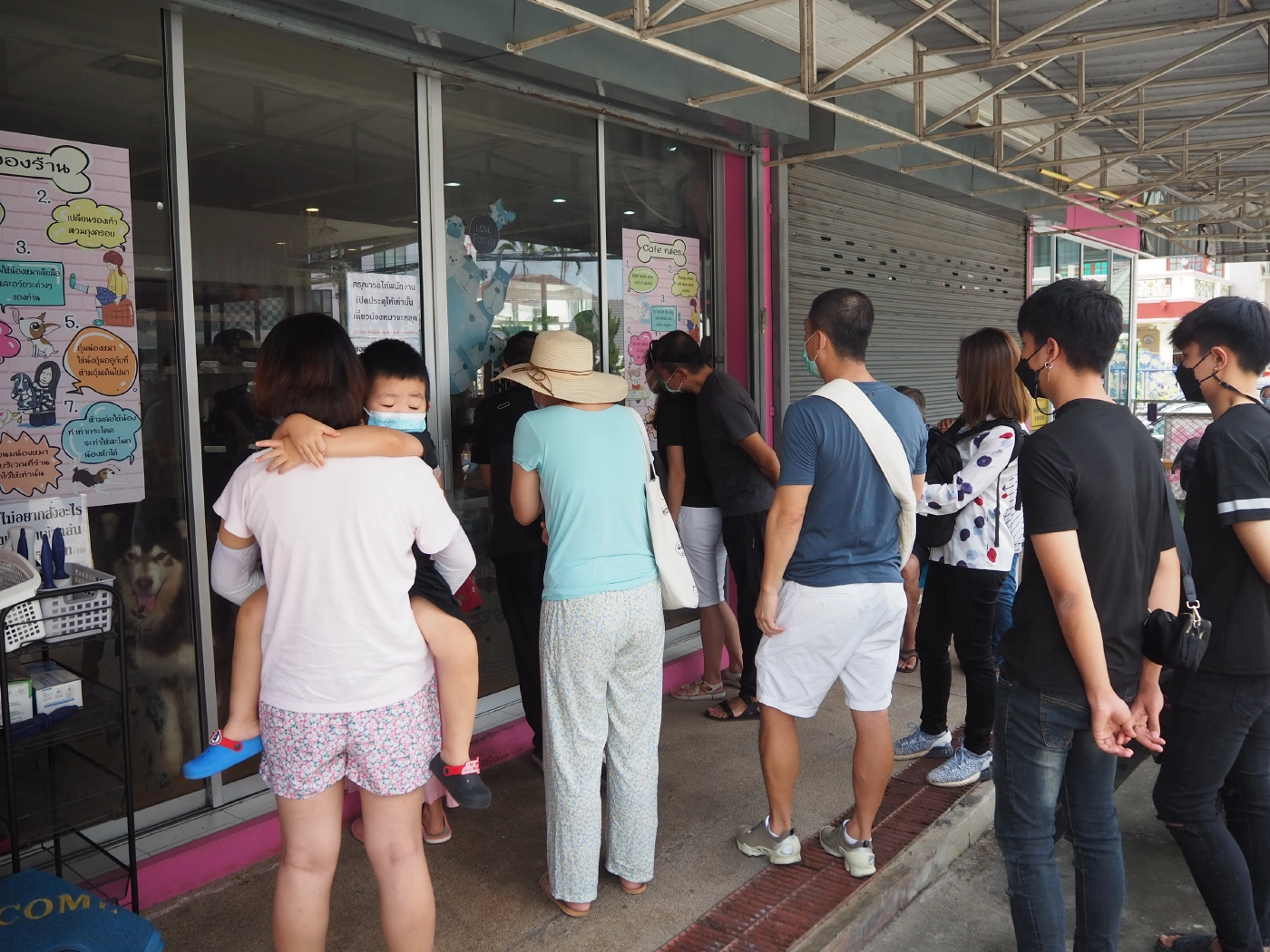 คาเฟ่หมาเชียงใหม่ ประกาศหาบ้านใหม่ให้น้องหมา