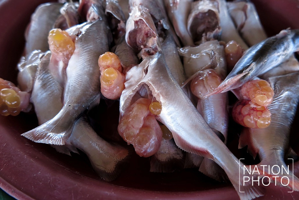 สดจากลุ่มน้ำทะเลสาบ ครัวขนาดใหญ่ของชาวสงขลา