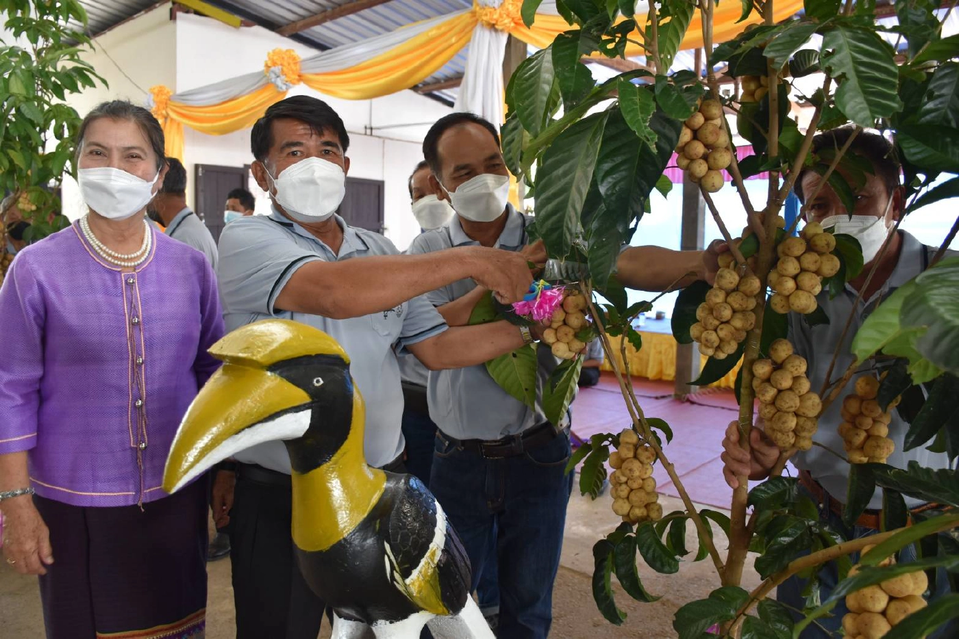 “ทำบุญ”เปิดตลาด“นานกกก”-รับซื้อลองกองลับแล