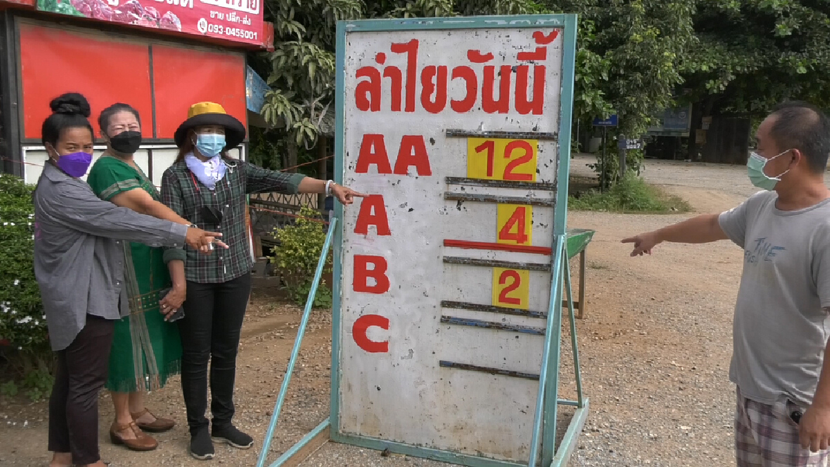 ชาวสวนลำไยลำพูนน้ำตาตก-ปล่อยเน่าคาต้น